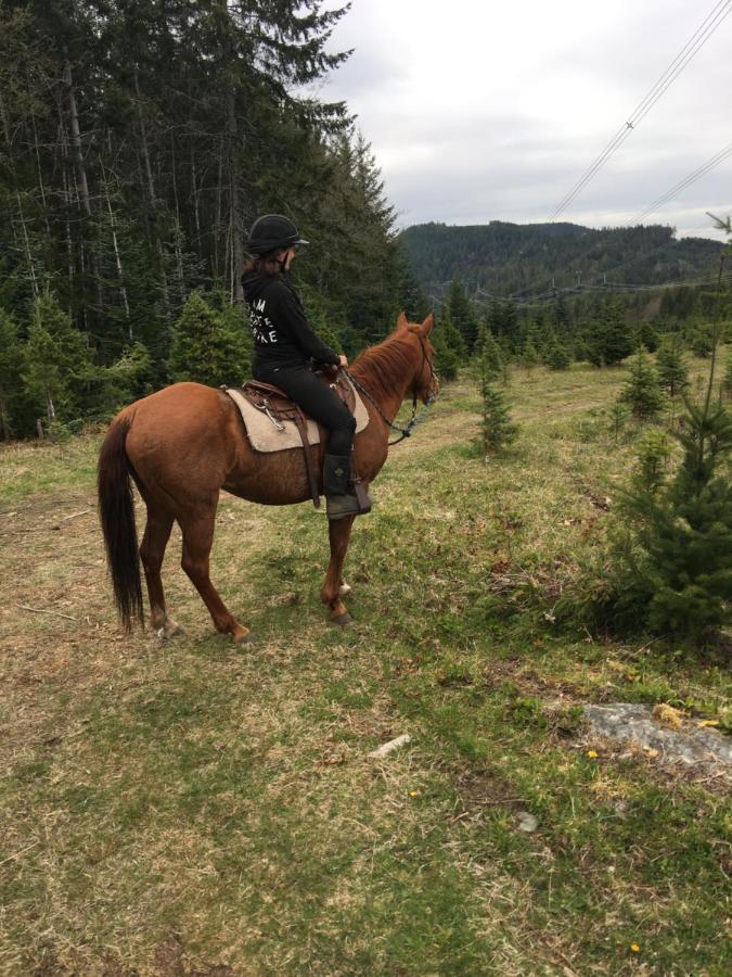 Отель Maple Heart Ranch Shawnigan Lake Экстерьер фото