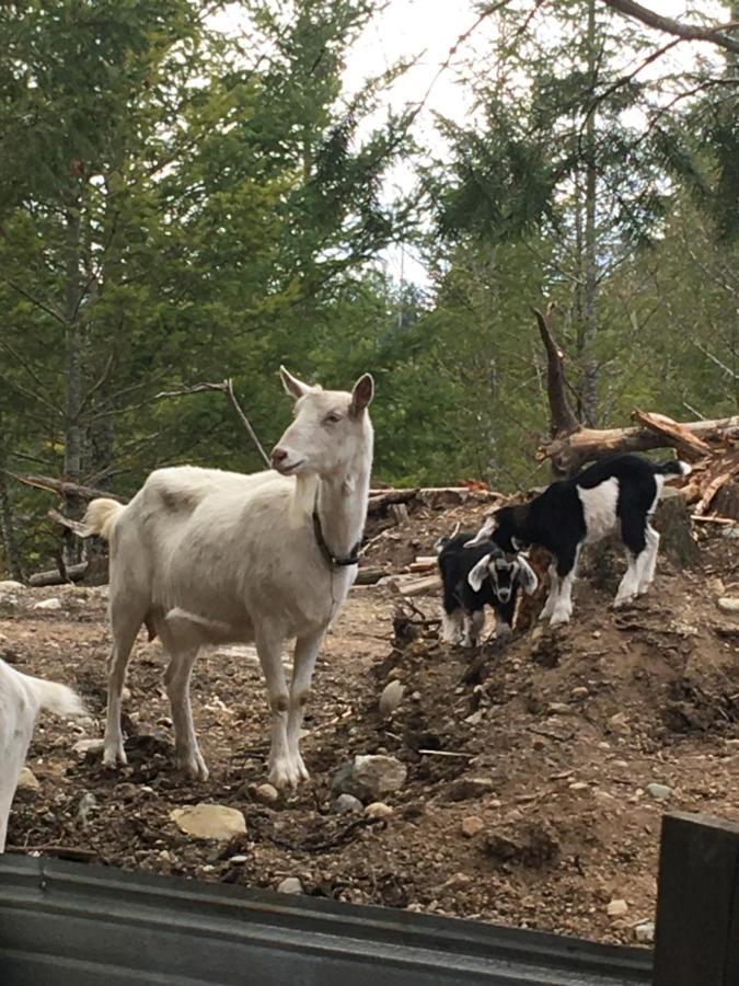 Отель Maple Heart Ranch Shawnigan Lake Экстерьер фото